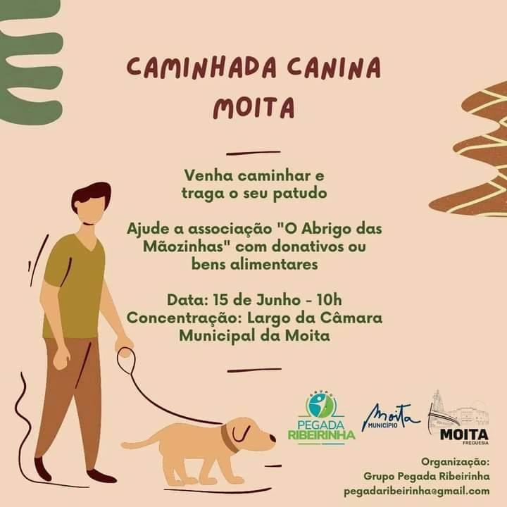 448316732_1051083519799289_2958648659035233041_n