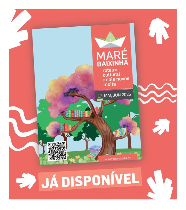 493703359_1132191782276449_831553778348247269_n